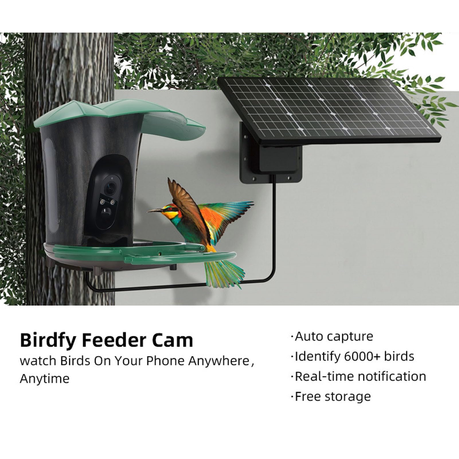 Cámara de alimentación de Aves 4G 2MP HD AI energía Solar a Prueba de Agua Identifique la cámara de observación de Aves Inteligentes con notificación en Tiempo Real para Amantes