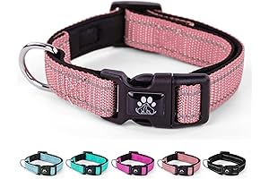 Reflective Padded Dog Collar: Safety and Comfort Guaranteed