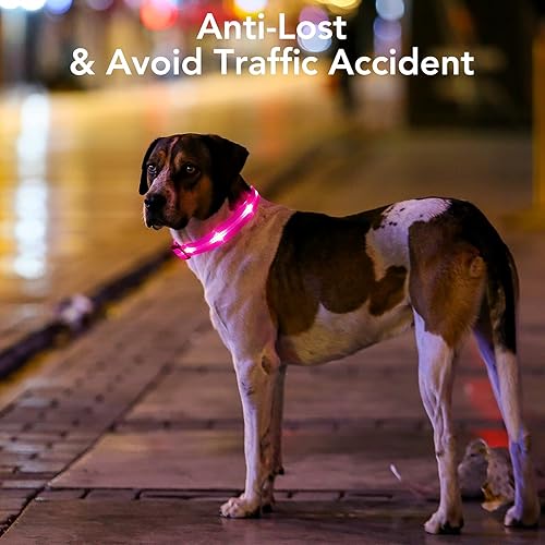Miniatura 2 de Weesiber Collares para perros con luces LED recargables, luces reflectantes ajustables para perros para caminar por la noche (rosa, S)