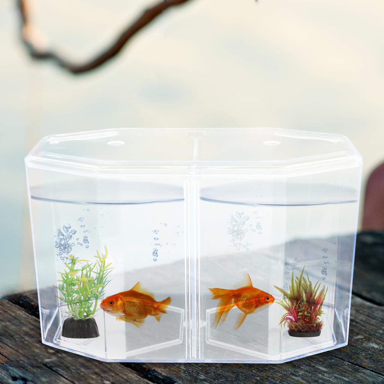 UKCOCO Caja De Criador Transparente para Peceras De Pez Betta Y Peces Pequeños 7.87X4.72X4.33 Pulgadas con Separadores Dobles Acrílico Seguro para Aislamiento Y Reproducción