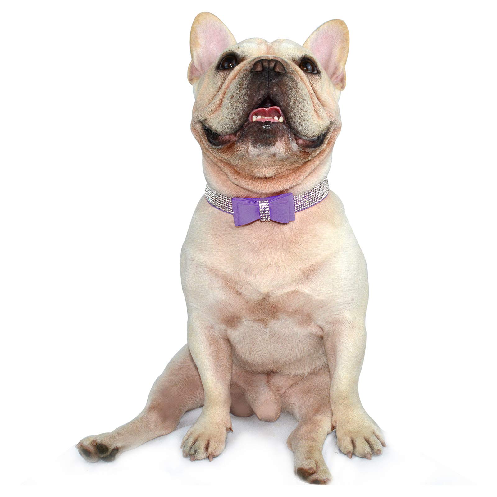 Glitzer-Hundehalsband Mit Strass-Steinen & Schmetterling – Weiches Wildleder, Größe M (violett) – Für Kleine & Mittlere Hunde