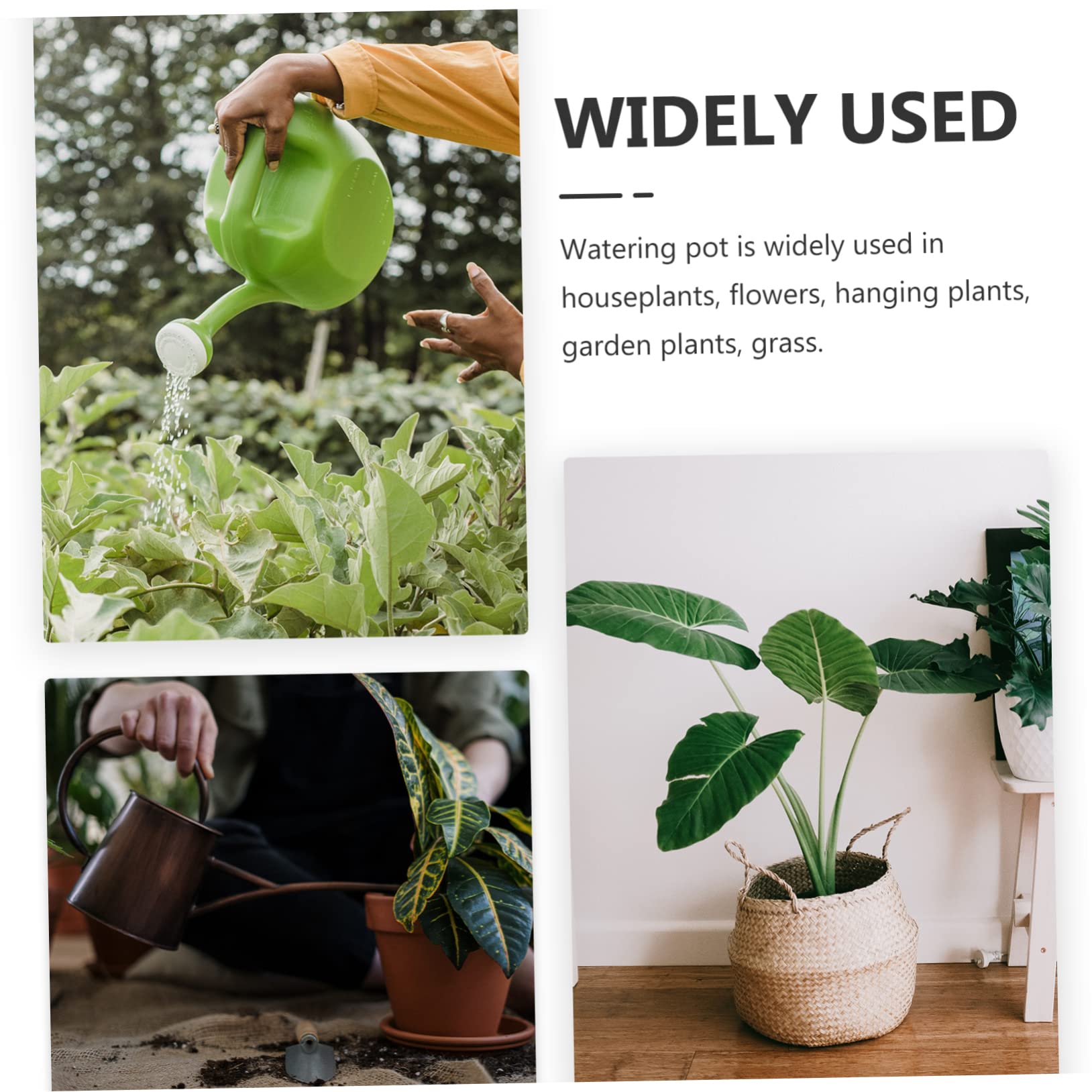 Regadera de Largo 1, 2 L de Acero Inoxidable Mango de Madera | Negro, Asa Ergonómica y Vertido sin Derrames, para Plantas y Suculentas en Casa o Jardín