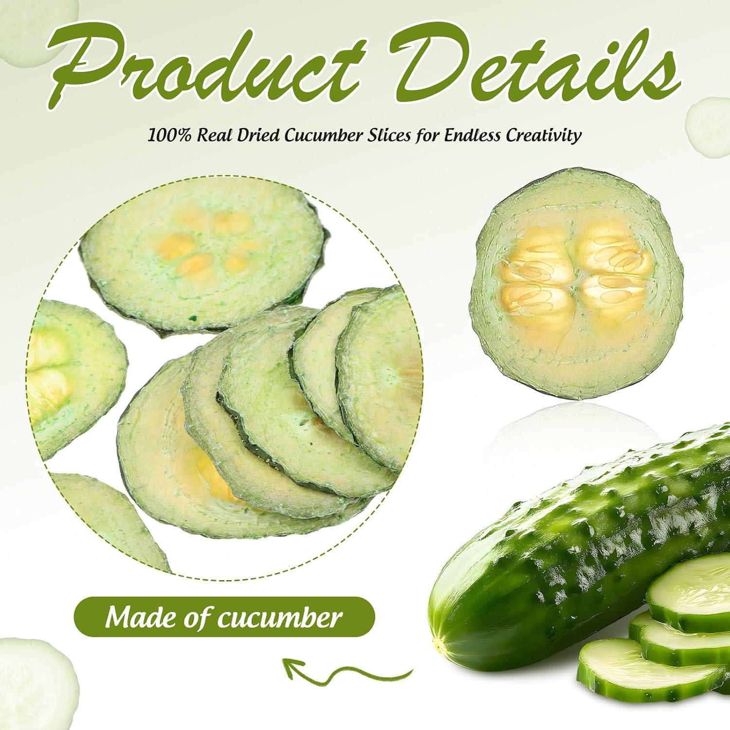 12pcs Dried Cucumber Slices for DIY Craft Making and Resin Projects
