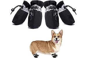 Cozy Canine Boots: Embrace Winter Adventures with Your Dachshund