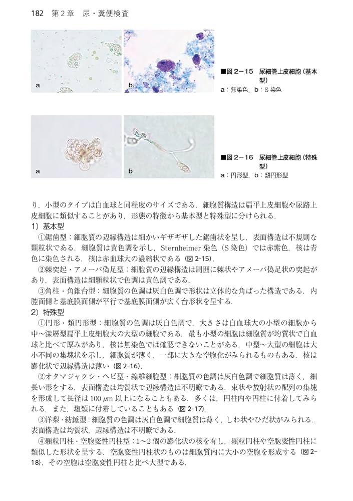 ✳︎新品、未使用✳︎臨床検査法提要　改訂第36版 臨床検査法提要 改訂第36版 | 奥村 伸生, 本田 孝行, 矢冨 裕