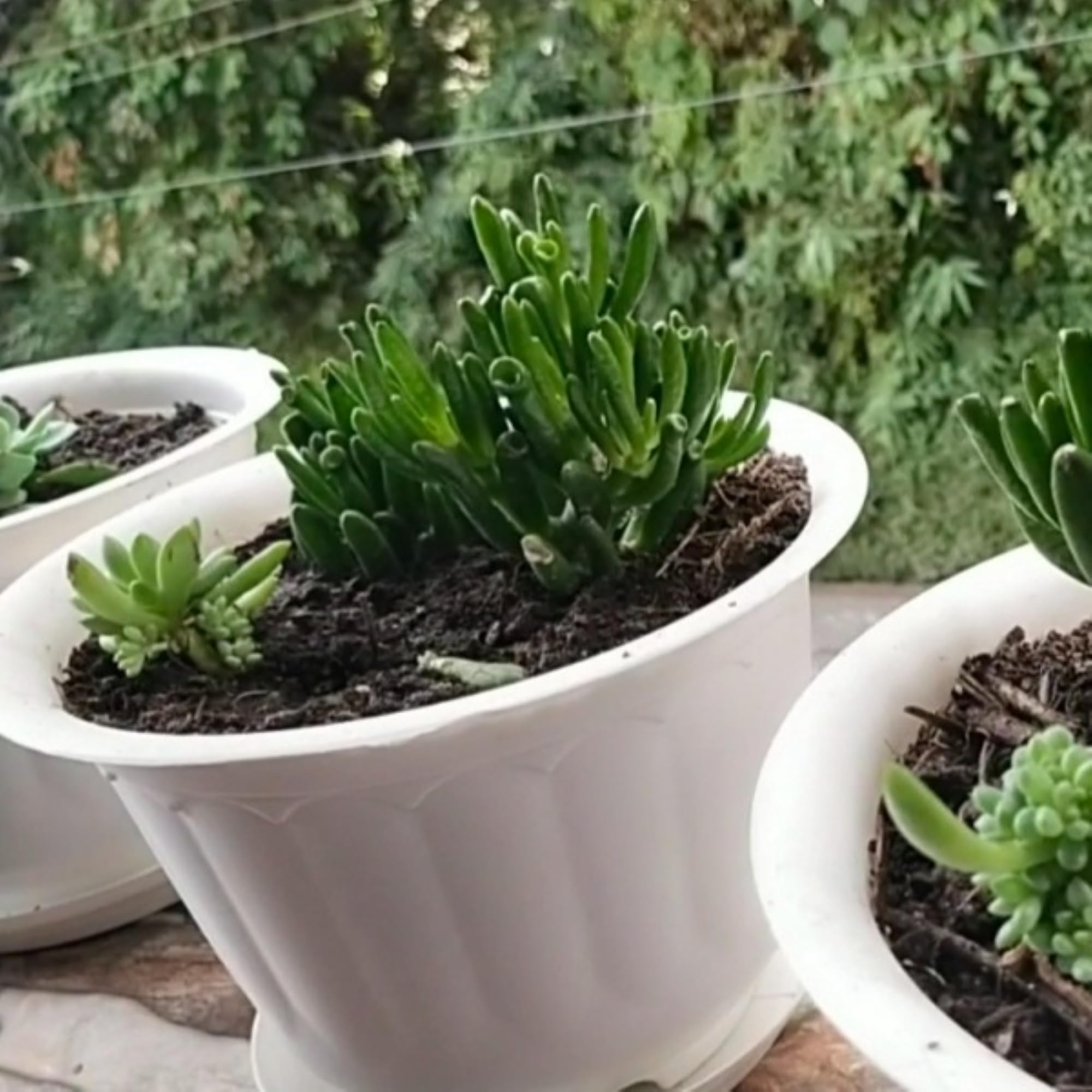 VINSHRA 10 Inch White Flower Pot with Tray Set of 6 Indoor & Outdoor Pots for Plants Round Jasmine mega Planters for Terrace Home and Balcony Decor (B0845YRHZZ) Amazon Price History, Amazon Price Tracker