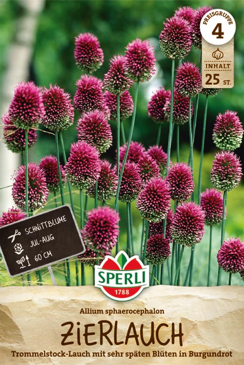 Sperli Zierlauch