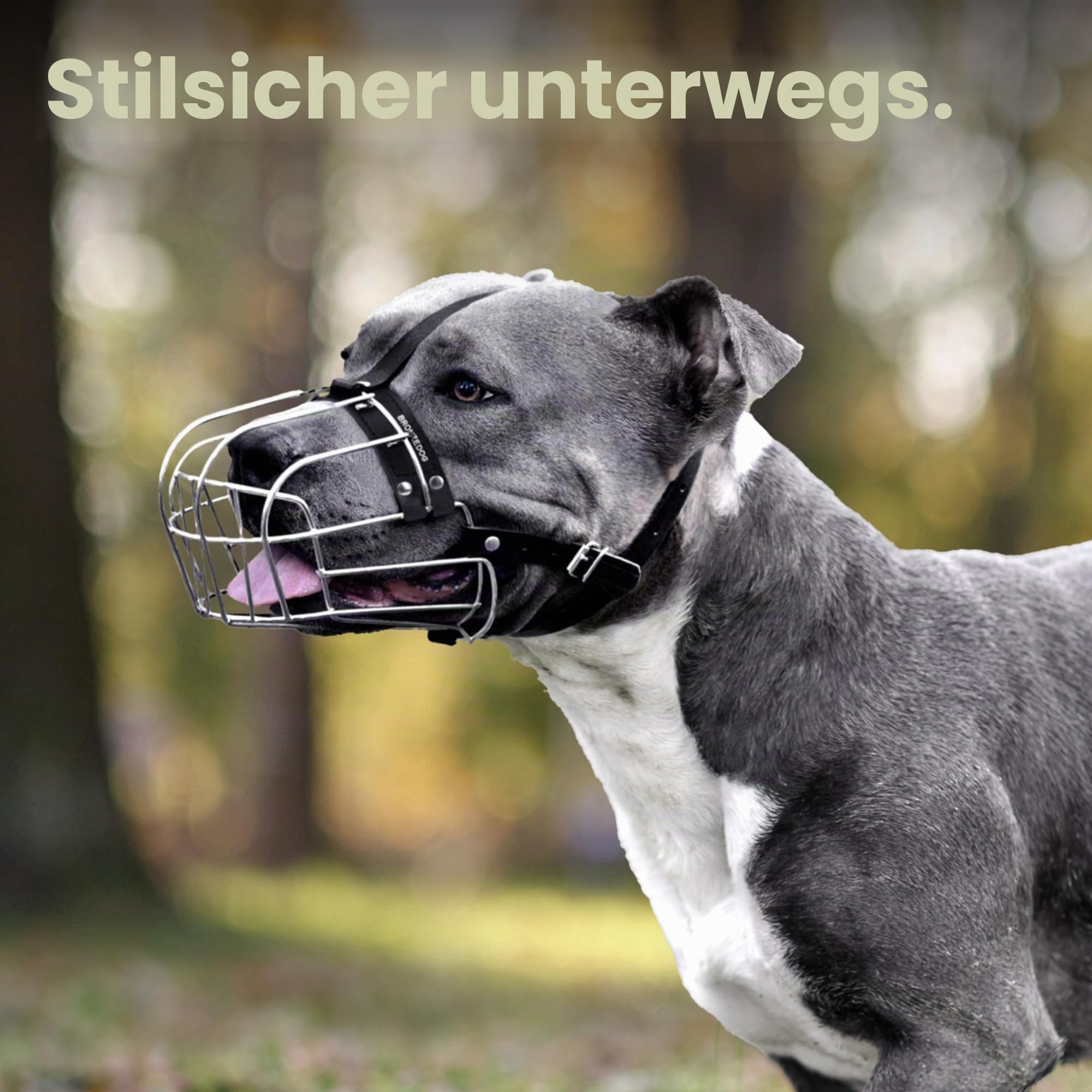BronzeDog Maulkorb für Hunde aus Metall – Amstaff Drahtkorb mit verstellbaren Lederriemen für große Hunde
