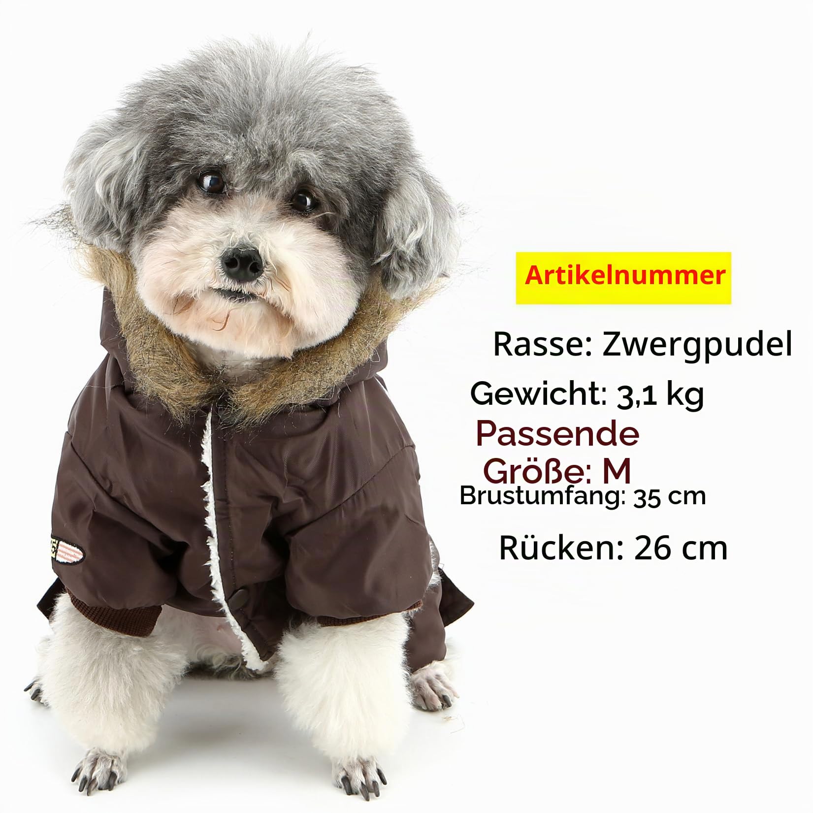 Zunea Overall Schneeanzug mit Kapuze für Kleine Hunde Wasserdichter Wintermäntel Fleece Warm Kapuzenpullis Haustier Welpen Kleidung Chihuahua Yorkie Katzen Hundebekleidung Braun M