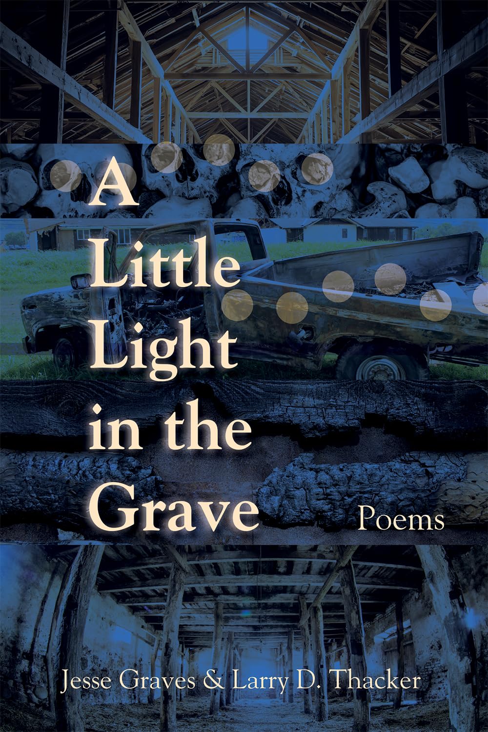 A Little Light in the Grave, Volume 48: Poems (21st Century Poets)