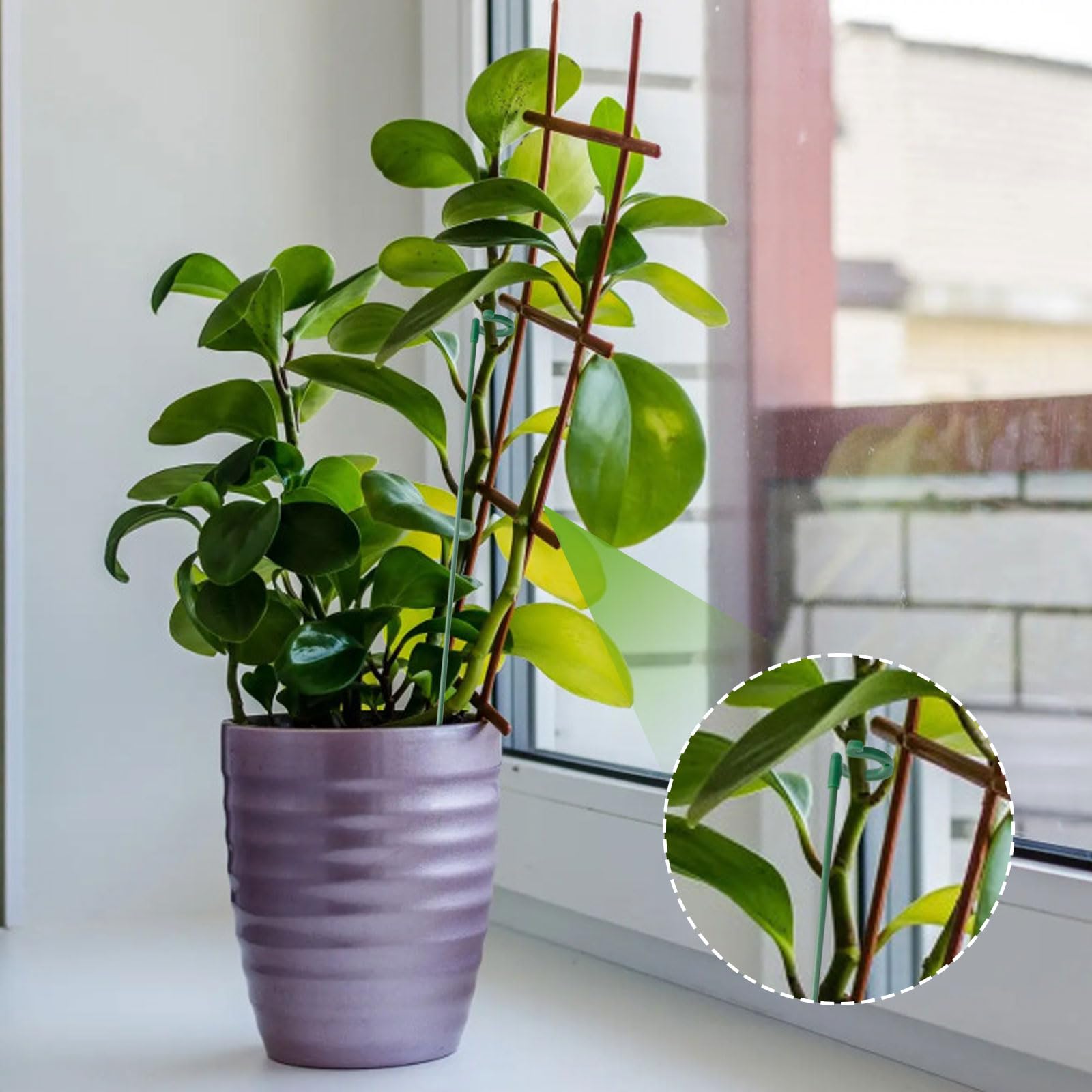 15 sztuk podpórki do roślin, 27 cm, podpora dla roślin doniczkowych, ochrona roślin przed nachyleniem do phalaenopsis, hortensji, piwonii