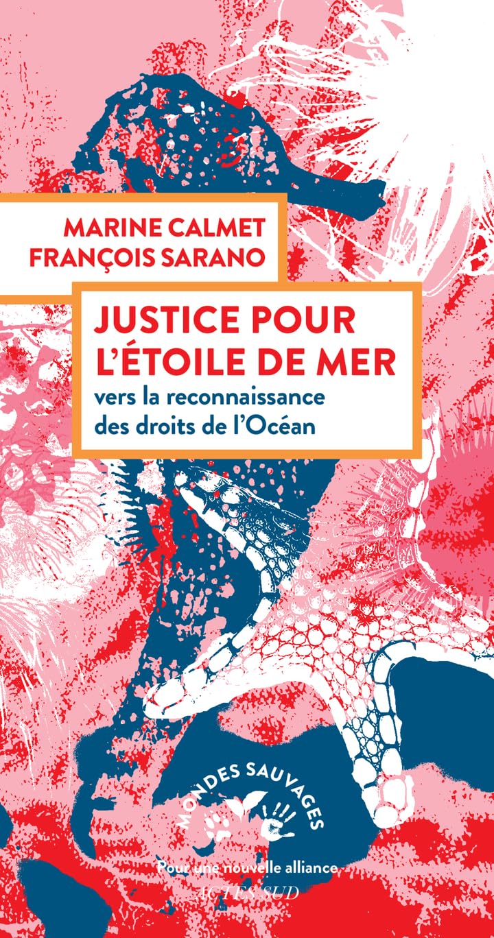 Justice pour l'étoile de mer: Vers la reconnaissance des droits de l'océan