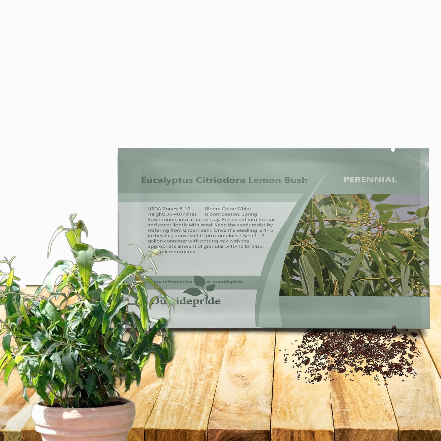 Outsidepride Lemon Bush Eucalyptus Seeds - 25 Pcs. Perennial, Easy to Grow & Drought Tolerant, Flower Seeds for Planting Fragrant, Vibrant Blooms for Landscaping & Pollinator Gardens