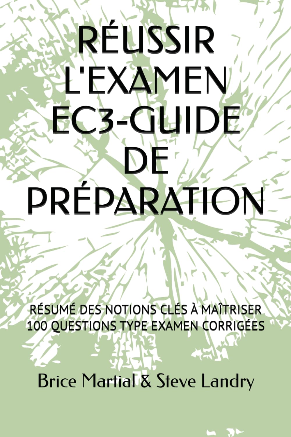 RÉUSSIR L'EXAMEN EC3-GUIDE DE PRÉPARATION: 100 QUESTIONS CORRIGÉES