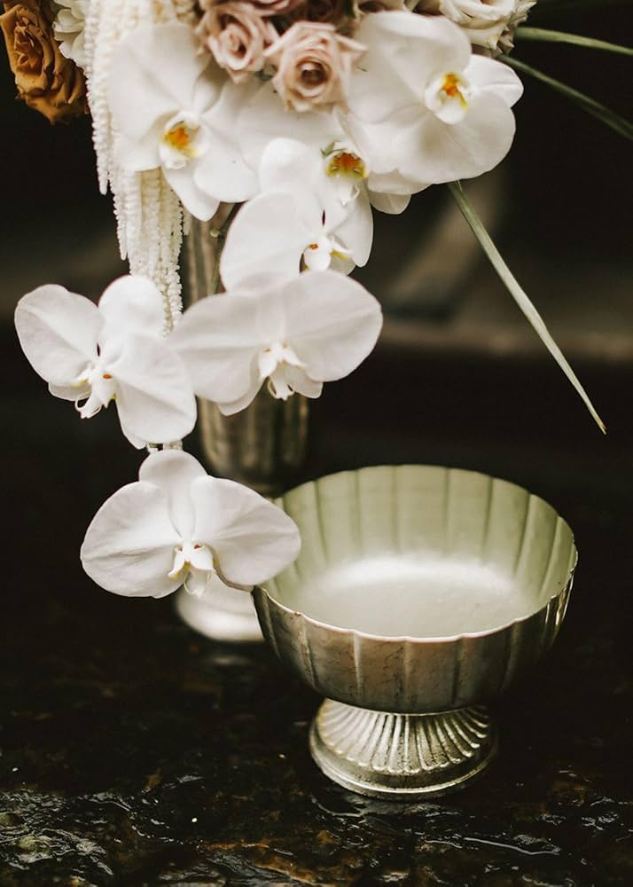 鉢・プランター spicygem Meteorite BOWL pot ver APOLLO spicygem pot Meteorite BOWL ver APOLLO