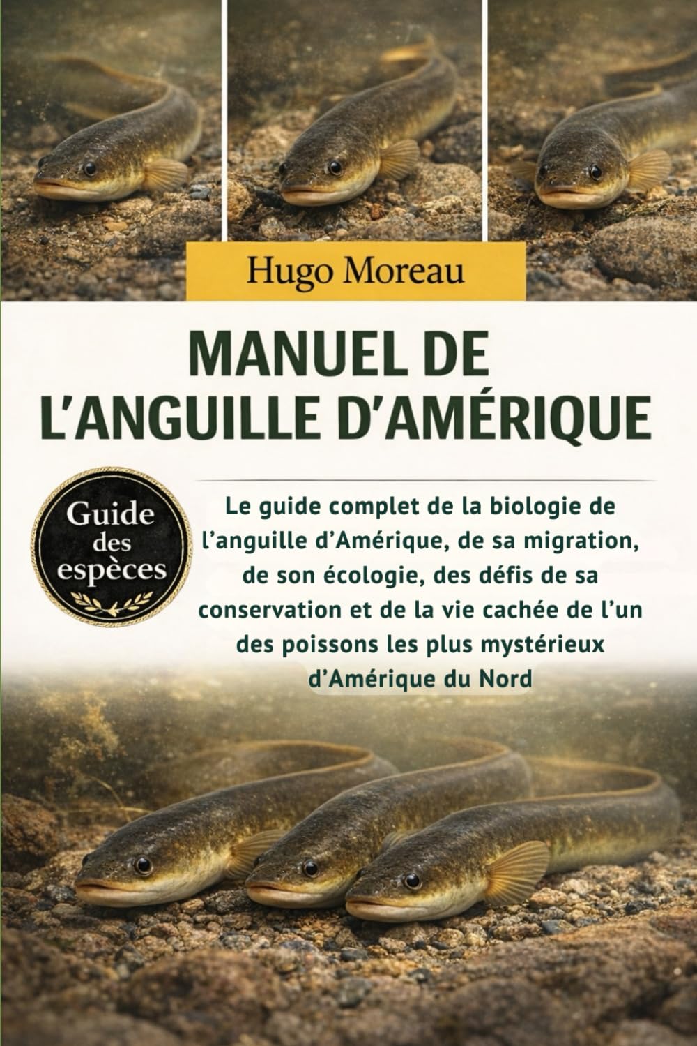 MANUEL DE L’ANGUILLE D’AMÉRIQUE: Le guide complet de la biologie de l’anguille d’Amérique, de sa migration, de son écologie, des défis de sa ... les plus mystérieux d’Amérique du Nord