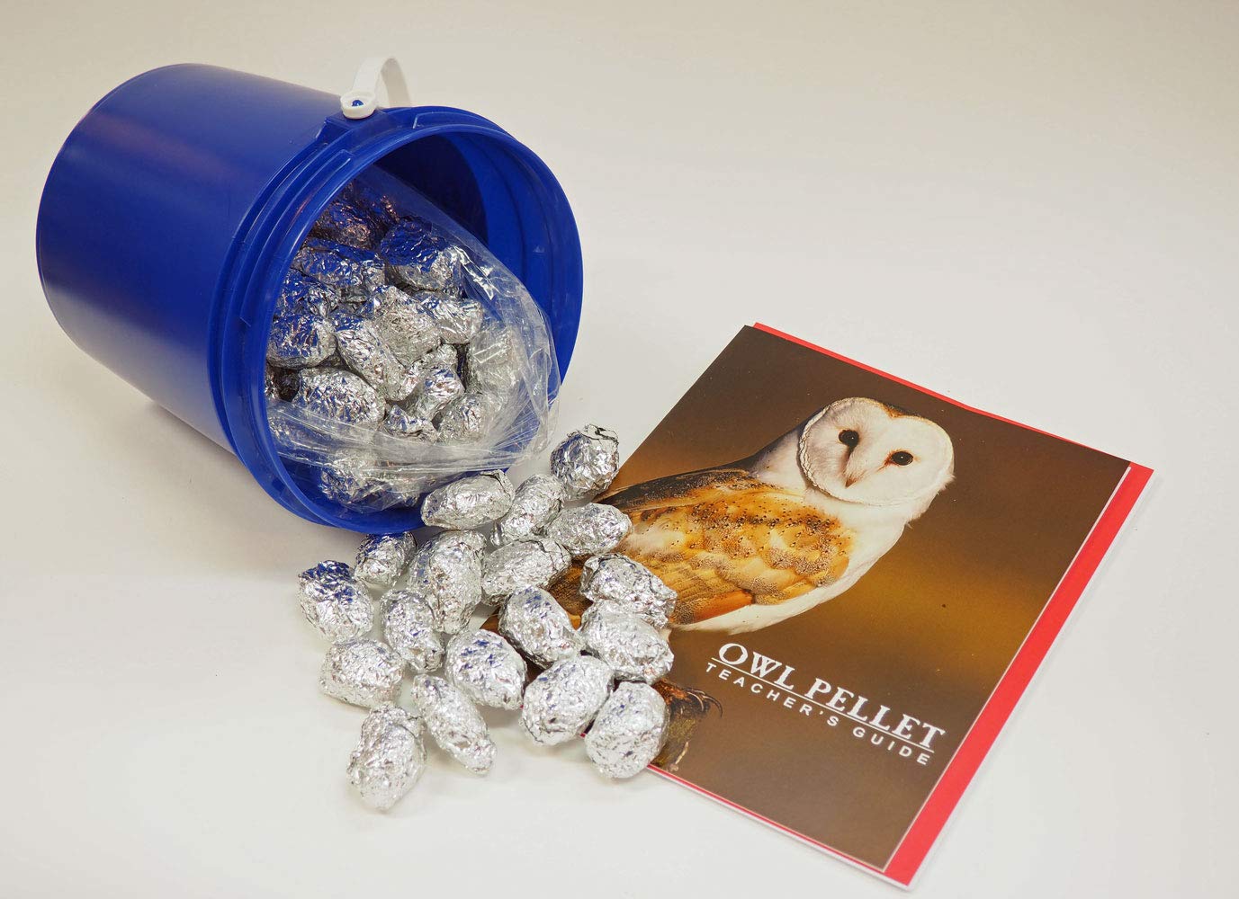 Bargain Bucket, 100 Small Owl Pellets with Teachers Guide and Bone Sorting Sheets