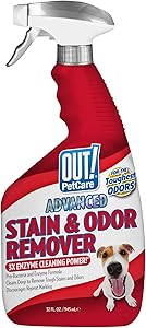 The10 Best Carpet Cleaners for Pets 4 71gHyTY91hL. AC SL300