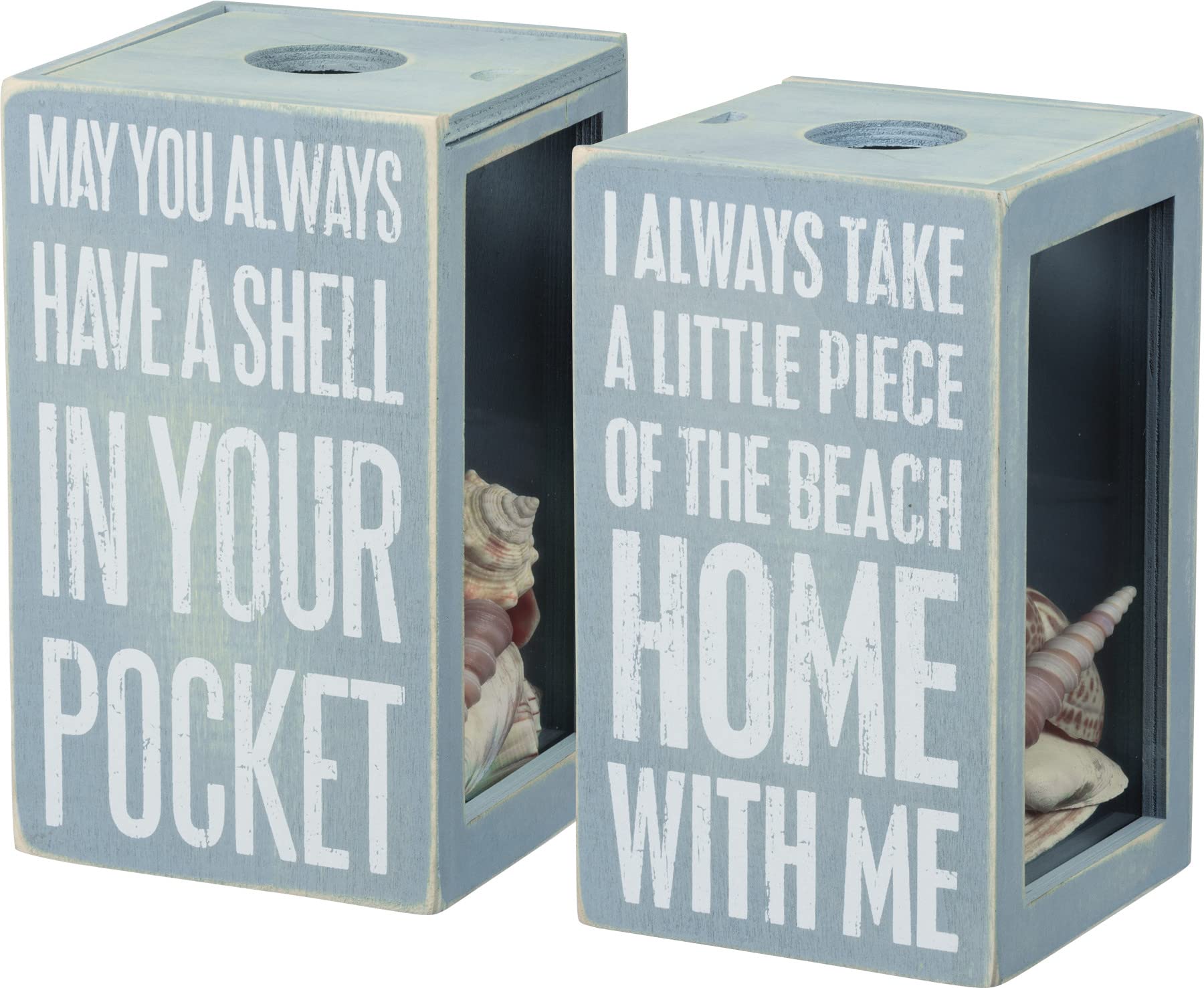 Primitives by Kathy Seashell Holder - Coastal Decor, Glass Display, Treasure Chest, Room and Bedroom Decor