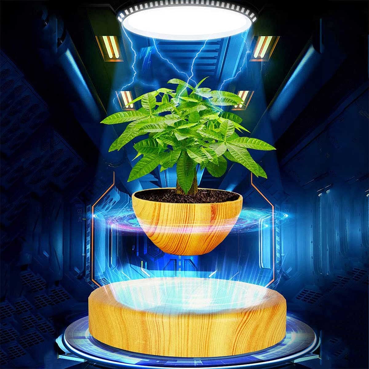 Pot De Bonsaïs À Air en Lévitation Plateau pour Plantes De Maison, 360 Degrés Pot De Bonsaï Flottant À Lévitation Magnétique Grain De Bois Pot De Fleurs Flottant pour Cadeau De Vacances