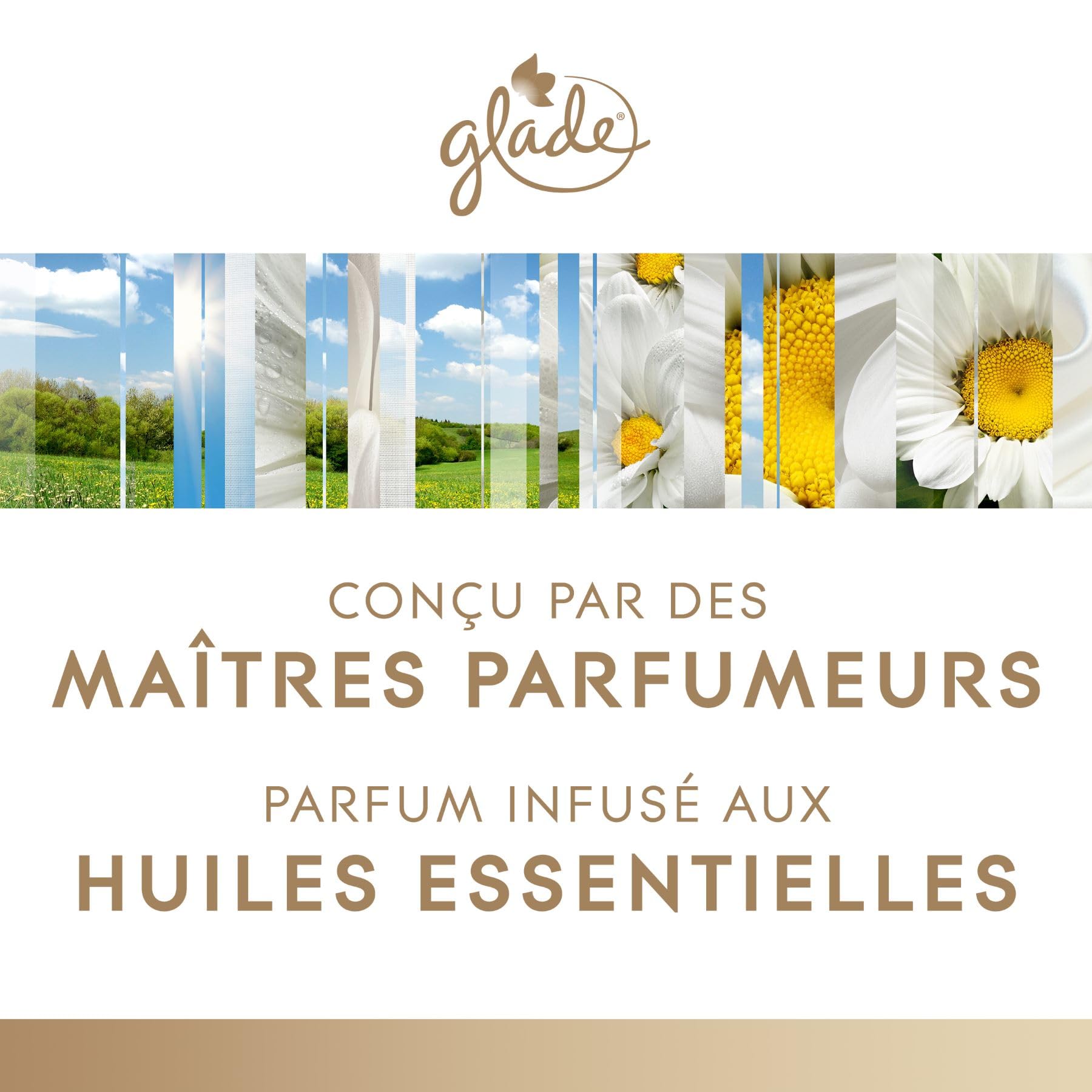 Glade Bougie Vegan Parfum Infusé Huiles Essentielles - Nouvelle Formule Sans Huile De Palme - Anti-Tabac - 6 Bougies