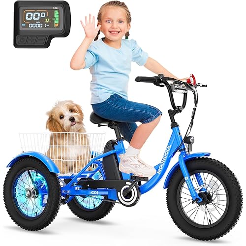 NAIZEA Electric Kids Bike - 16 inch Kids Trike for Boys Girls Age 6-12, e Bike for Children 250W, Kid Balance Bike with Adjustable Seat,Kid's Bikes with Basket, Children Bicycle Multiple Colors