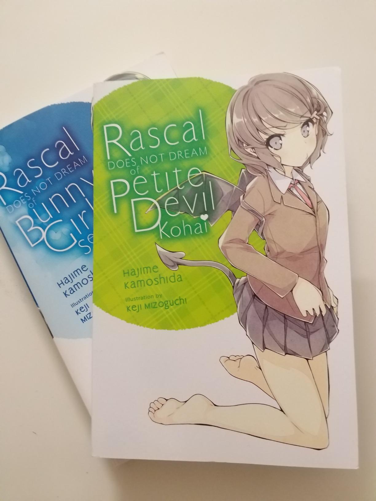 Rascal Does Not Dream of Petite Devil Kouhai (light novel): Volume 2
