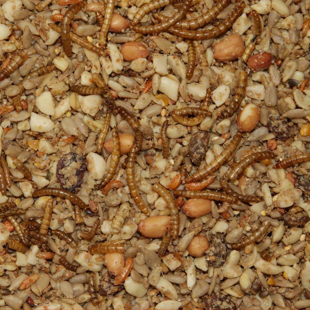 Paul's Mühle Premium Ganzjahresfutter für Wildvögel mit Extra Hohem Fettanteil, Vogelfutter zur Ganzjahresfütterung, Senkrechtstarter, 10 kg