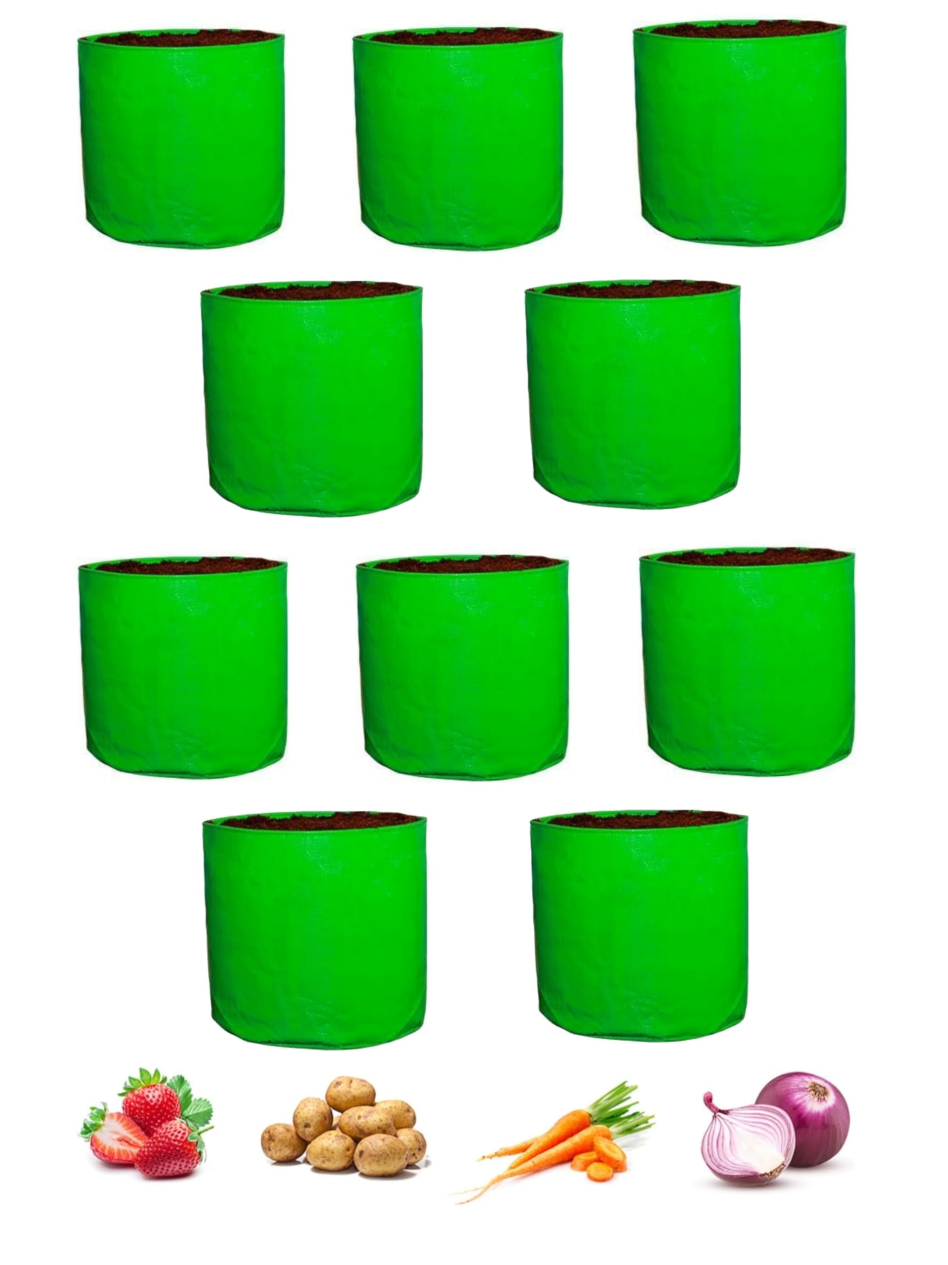 DIYAGREEN 12x12 Grow Bags Suitable for Terrace and Vegetable Gardening Premium Hdpe Uv Protected Round Shaped Green Colour Plant Bags (Pack of 10) (B0D8TH4JLJ) Amazon Price History, Amazon Price Tracker