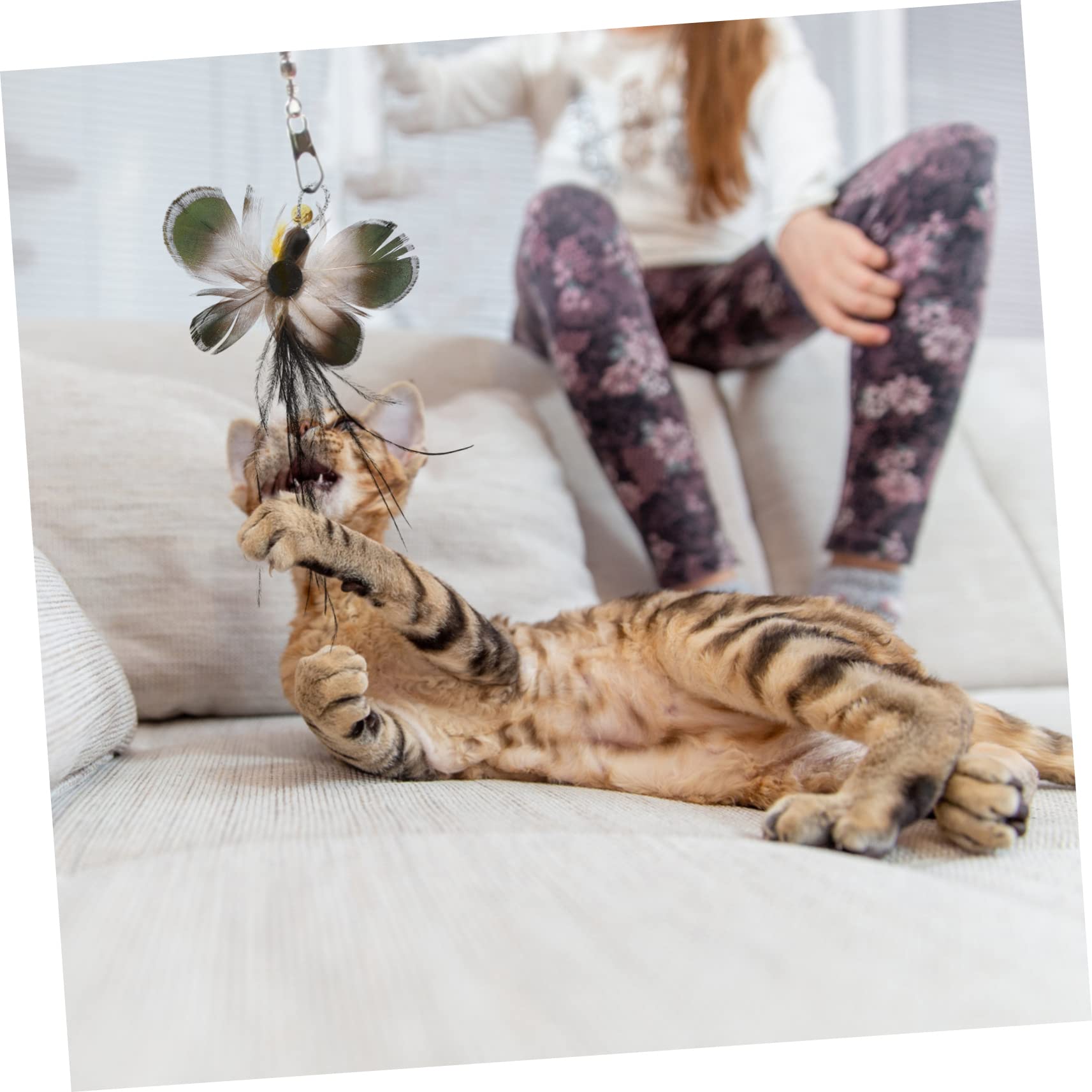 Toddmomy 24pièces Têtes De Remplacement pour Canne à Chat avec Jouets Insectes Et Plumes Accessoires Interactifs pour Chats Amusants Et Stimulants