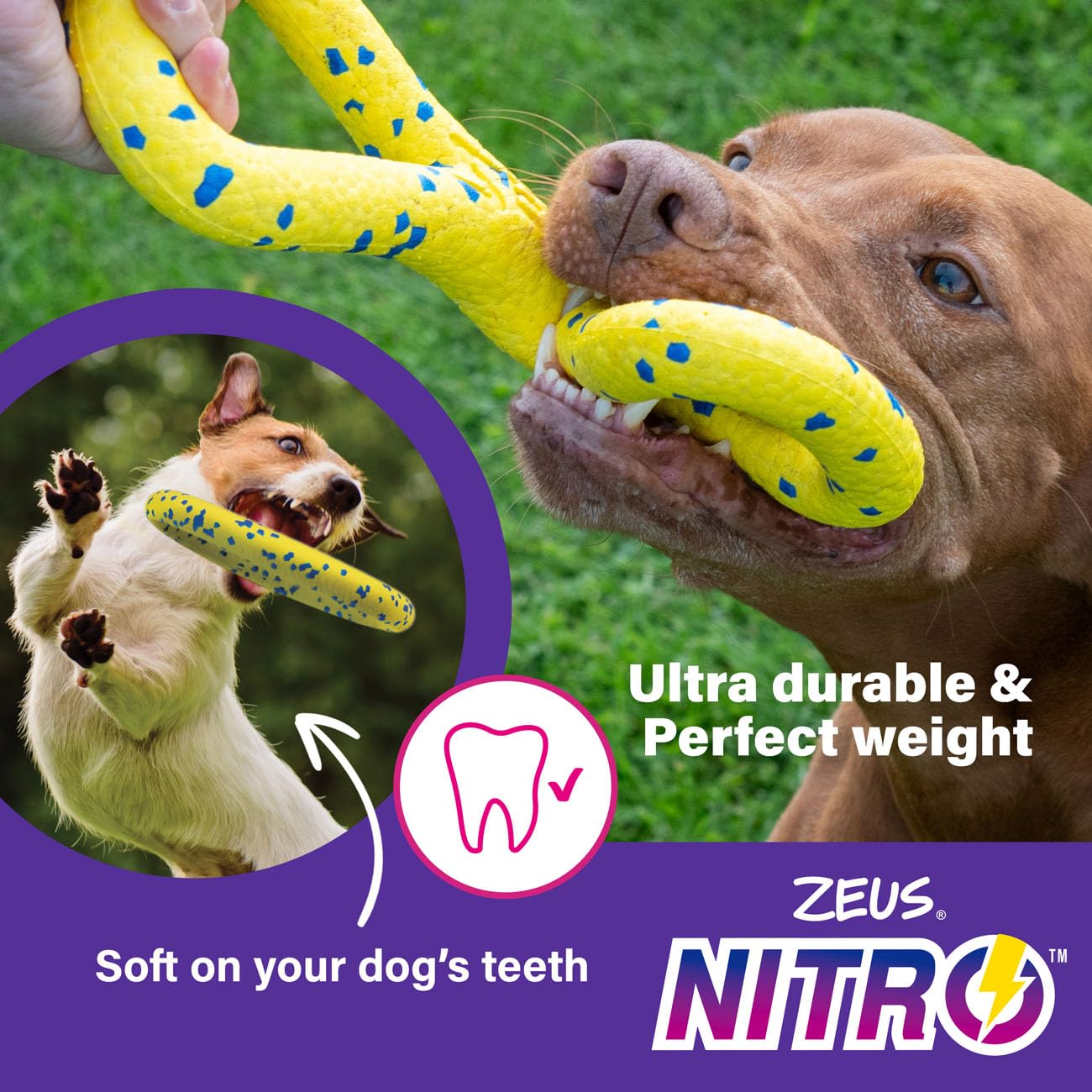 Zeus NITRO Bendy Dog Bone, 16cm, Tough, Durable and Long-Lasting Dog Chew for Dogs & Puppies, Yellow - Image 4