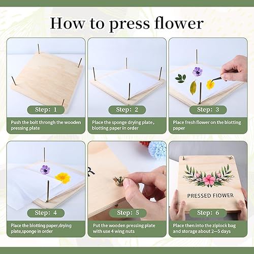 Miniatura 5 de MIDZH Prensa de flores extra grande, 10.8 x 10.8 pulgadas, kit de prensado de flores de madera de 4 capas, kit de preservación de plantas de flores