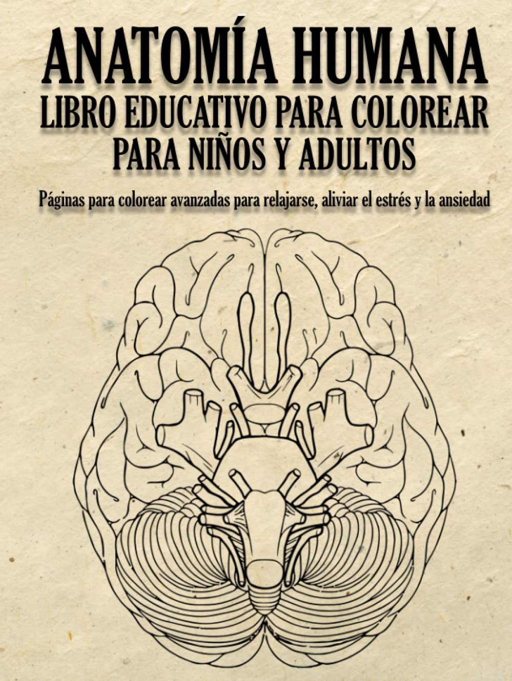 Buy Anatomía Humana Libro Educativo Para