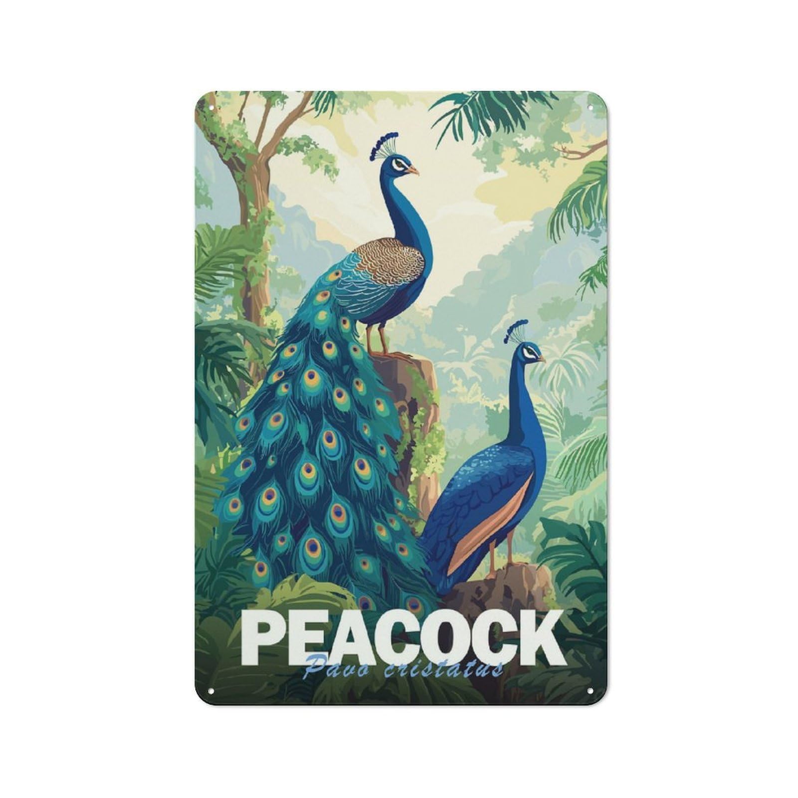 Junmoney Peacock Illustration Urban Decorative Metal Plaque 30X20cm Featuring Loft Wall Plaque For Loft, Studio, Office Or Creative Room