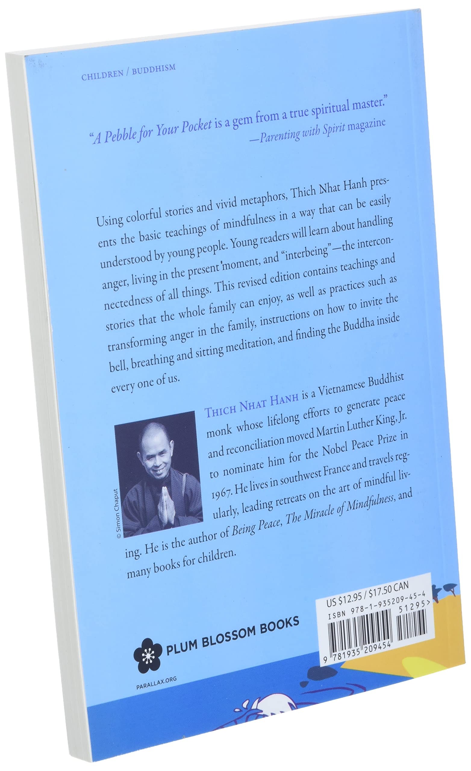 A Pebble for Your Pocket: Mindful Stories for Children and Grown-ups - Image 4