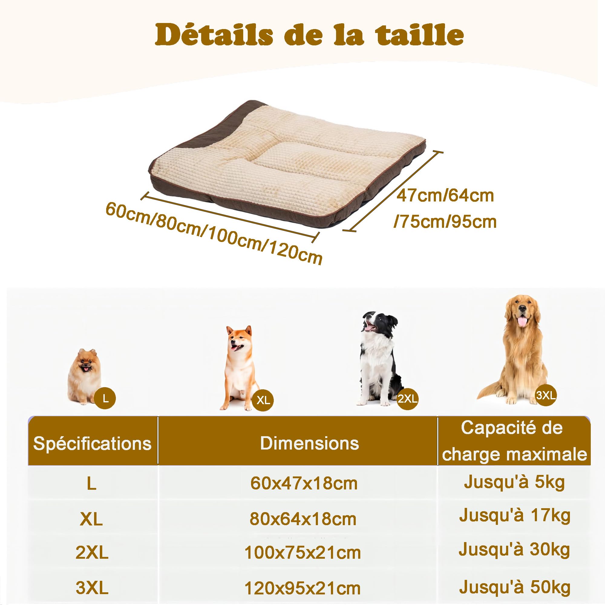 Grande Taille Lit pour Chien Tapis pour Chiens Coussin Animaux | 100x75x21cm, Moelleux Animaux Peluche, Moyen Taille Epais Panier, Dehoussable, Lavable, Base antidérapante