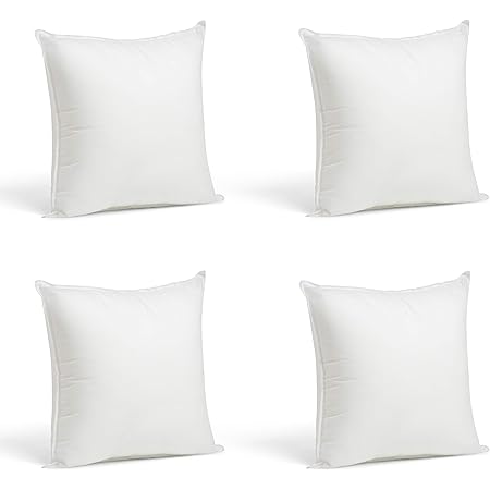 20 x 12 pillow insert