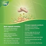 Nature's Way Astragalus Root Supplement – 470mg – Used in Herbal Medicine to Help Maintain the Immune System – Helps Increase Energy and Resistance to Stress – 180 Vegetarian Capsules