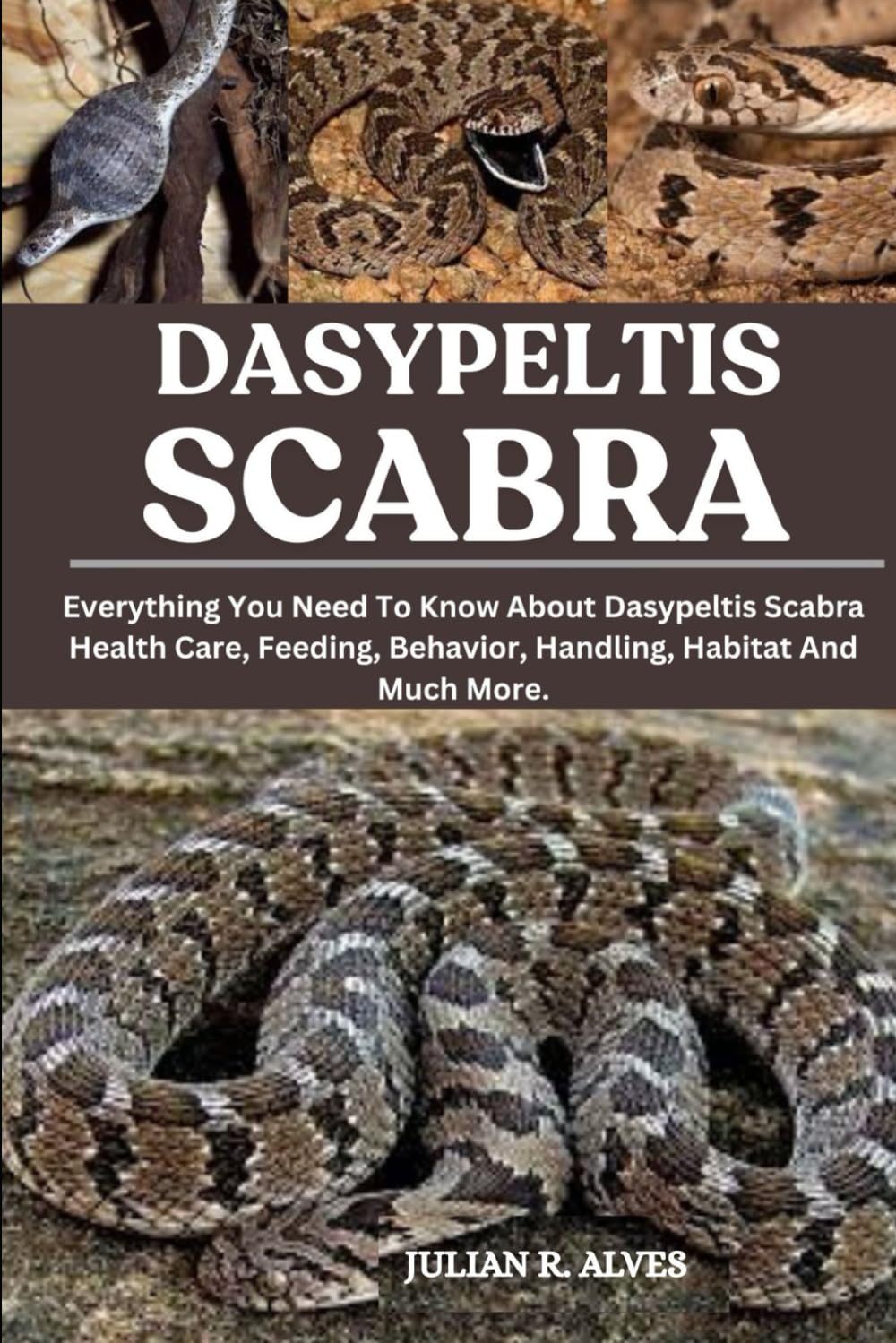 DASYPELTIS SCABRA: Everything You Need To Know About Dasypeltis Scabra Health Care, Feeding, Behavior, Handling, Habitat And Much More.
