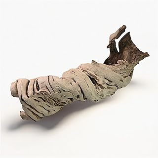 Koyal Wholesale 24" Hollow Grapewood Branch Decor 1Pcs Grapewood Centerpiece Vase Air Plants Sand Blasted Grapevine Wood Untreated Terrarium Wood Driftwood Decor