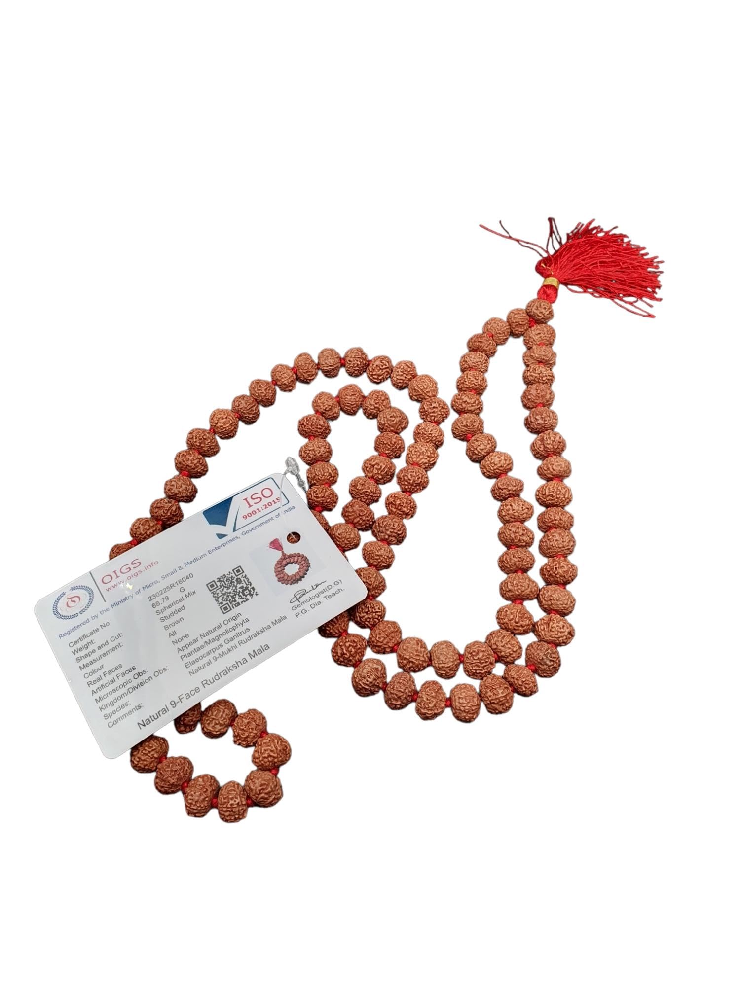 See full amazon price history chart for Dharmsaar 9 Mukhi Rudraksha Mala Nepali,Natural 9 Face Rudraksha Mala 108 Beads,Nau Mukhi Rudraksha Mala for Men and Women,9 Mukhi Rudraksha Mala Original Certified Dharmsaar 9 Mukhi Rudraksha Mala Nepali,Natural 9 Face Rudraksha Mala 108 Beads,Nau Mukhi Rudraksha Mala for Men and Women,9 Mukhi Rudraksha Mala Original Certified (B0D1R8SVPR) Amazon Price History, Amazon Price Tracker