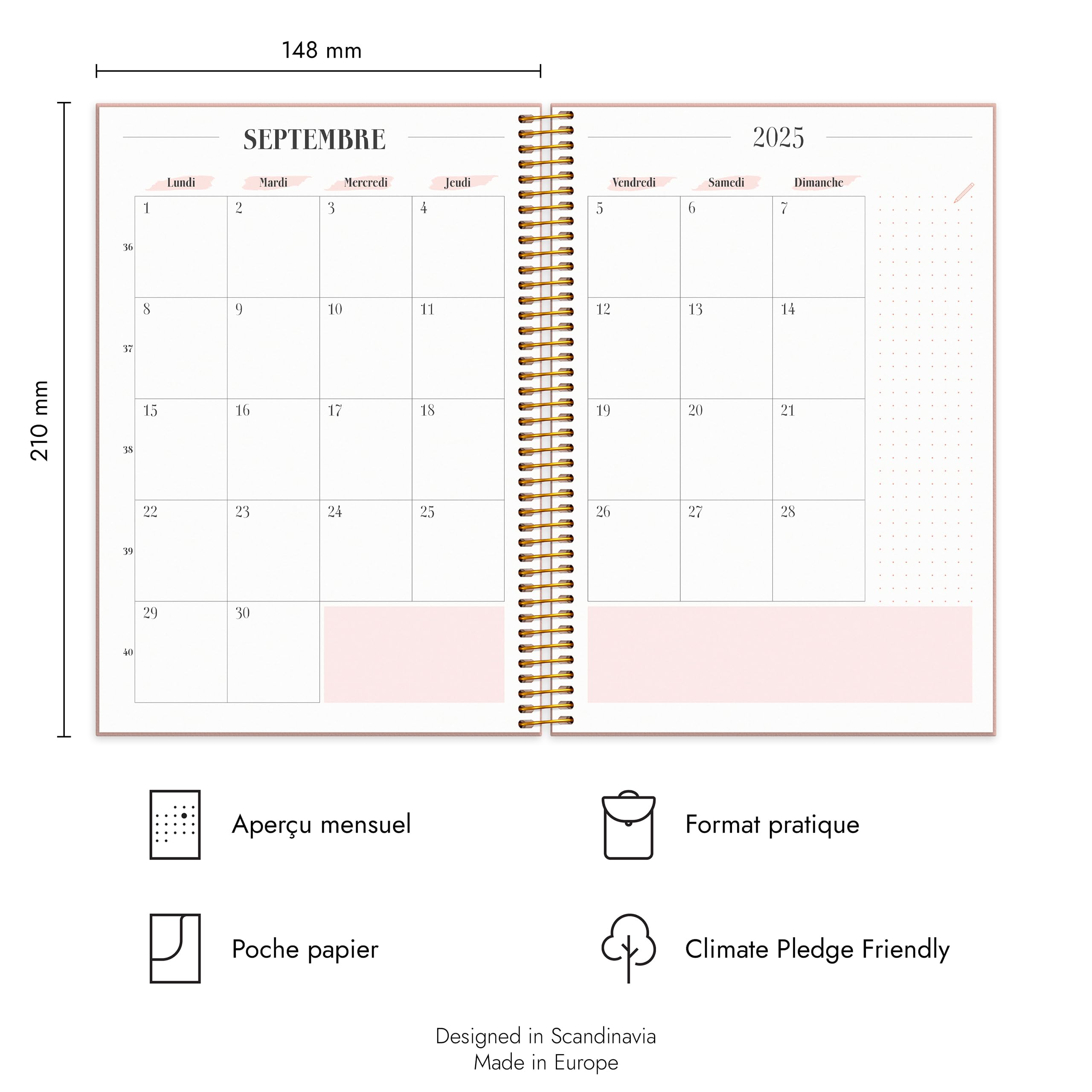 burde Doodle Agenda Semainier 2025 à Spirale Format A5 21 x 15 cm