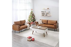 Vonanda Nora 73" Couch and 56" Loveseat: Mid-Century Modern Comfort for Small Spaces