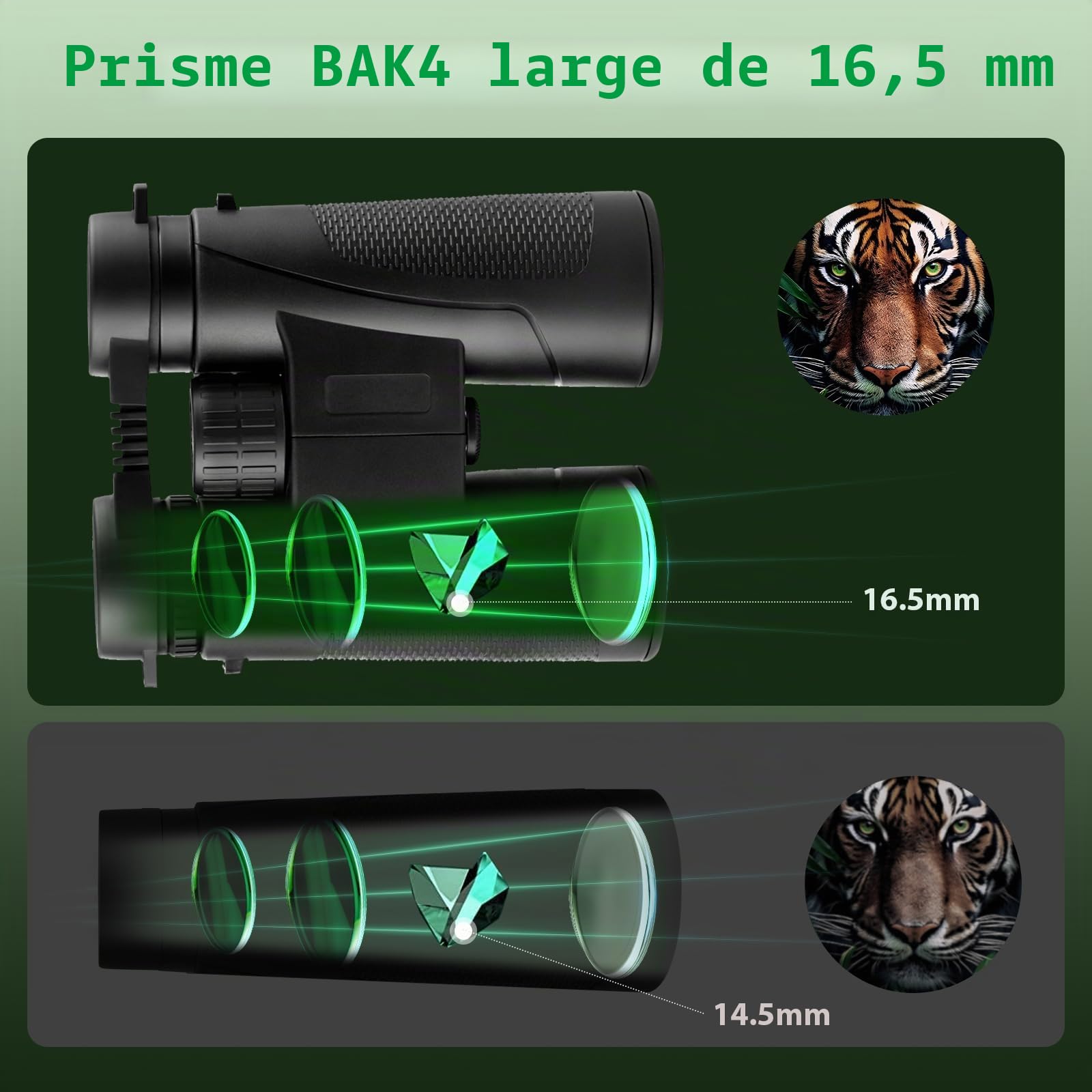 Jumelles compactes 12 x 42 HD BAK4 HD, objectif FMC étanches pour observation des oiseaux, chasse, voyage, randonnée, tourisme, noir