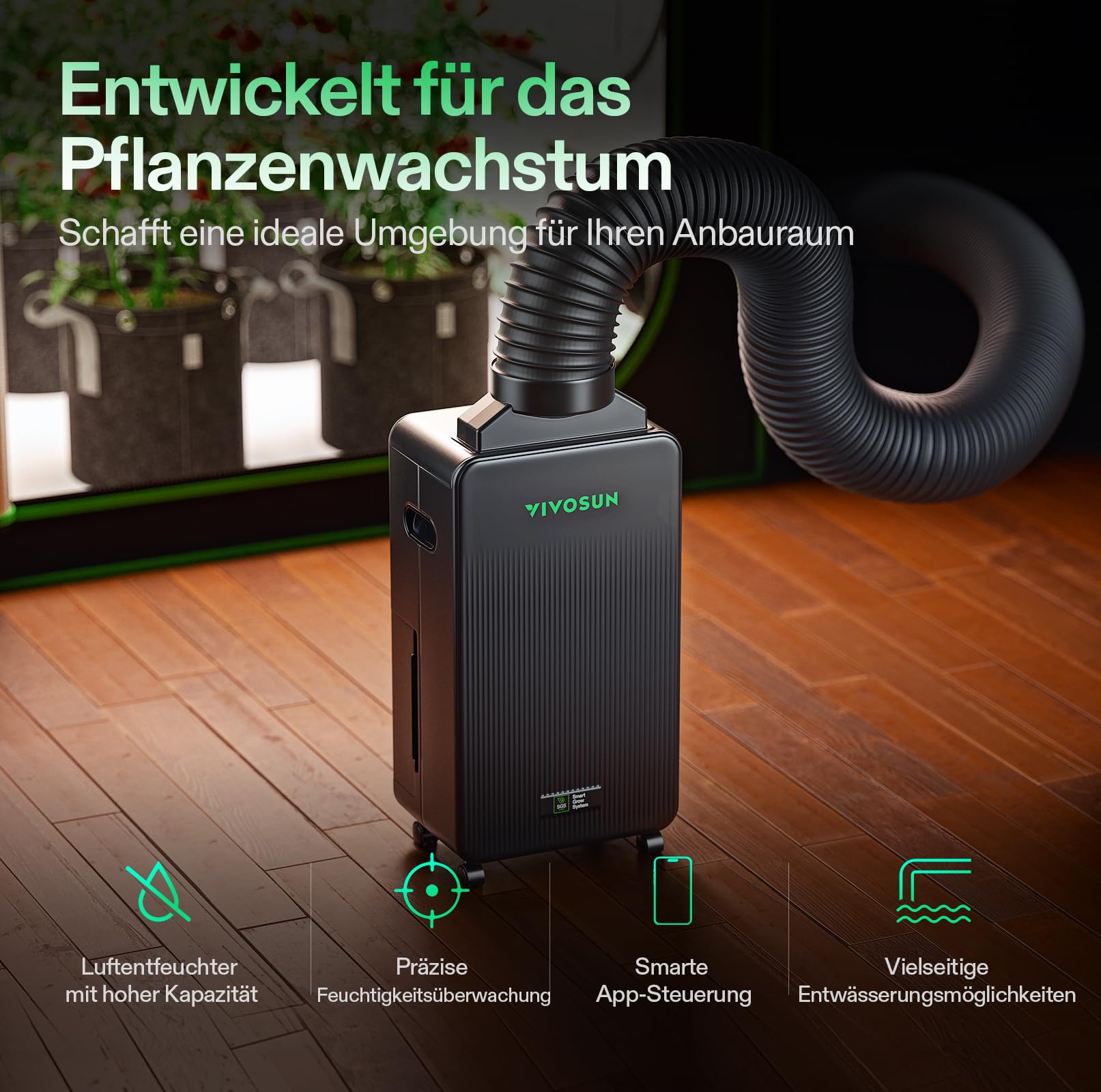 VIVOSUN AeroDrain D12 Luftentfeuchter Elektrisch 12L/Tag mit 2L Tank, Smart Dehumidifier mit Temperatur- & Feuchtigkeitssensor, Fernsteuerung, Ideal für Keller, Badezimmer & Growzelt