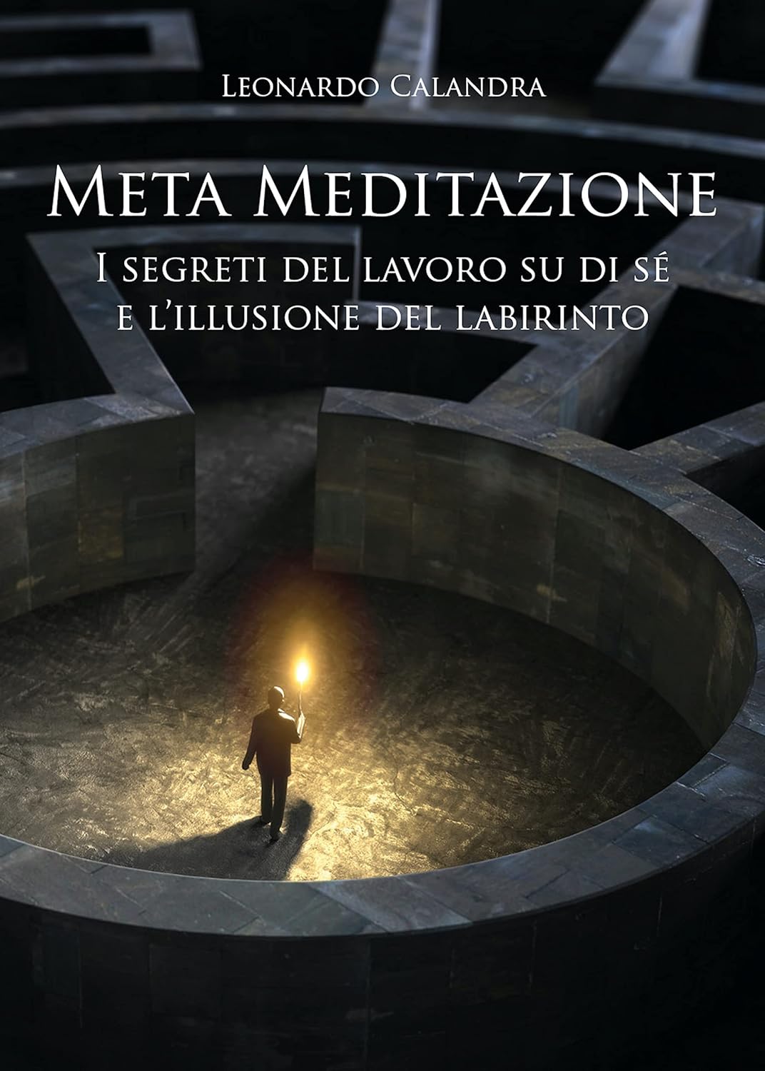 Meta Meditazione (Italian Edition)
