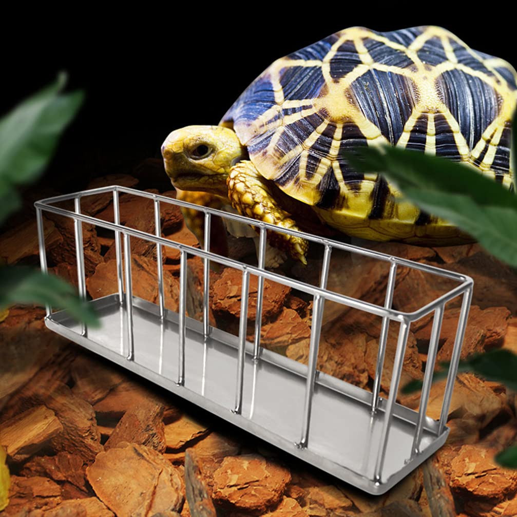 2-teiliges Reptilien Futter- Und Wassernapf Set In Leuchtendem Blau - Für Chamäleons, Schildkröten Und Mehr