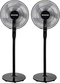 Hurricane 2 Pack Oscillating Pedestal Stand Fan, 12-Speed Cooling Unit, 16", Black - With Remote Control, Adjustable Tilt & Height for Home