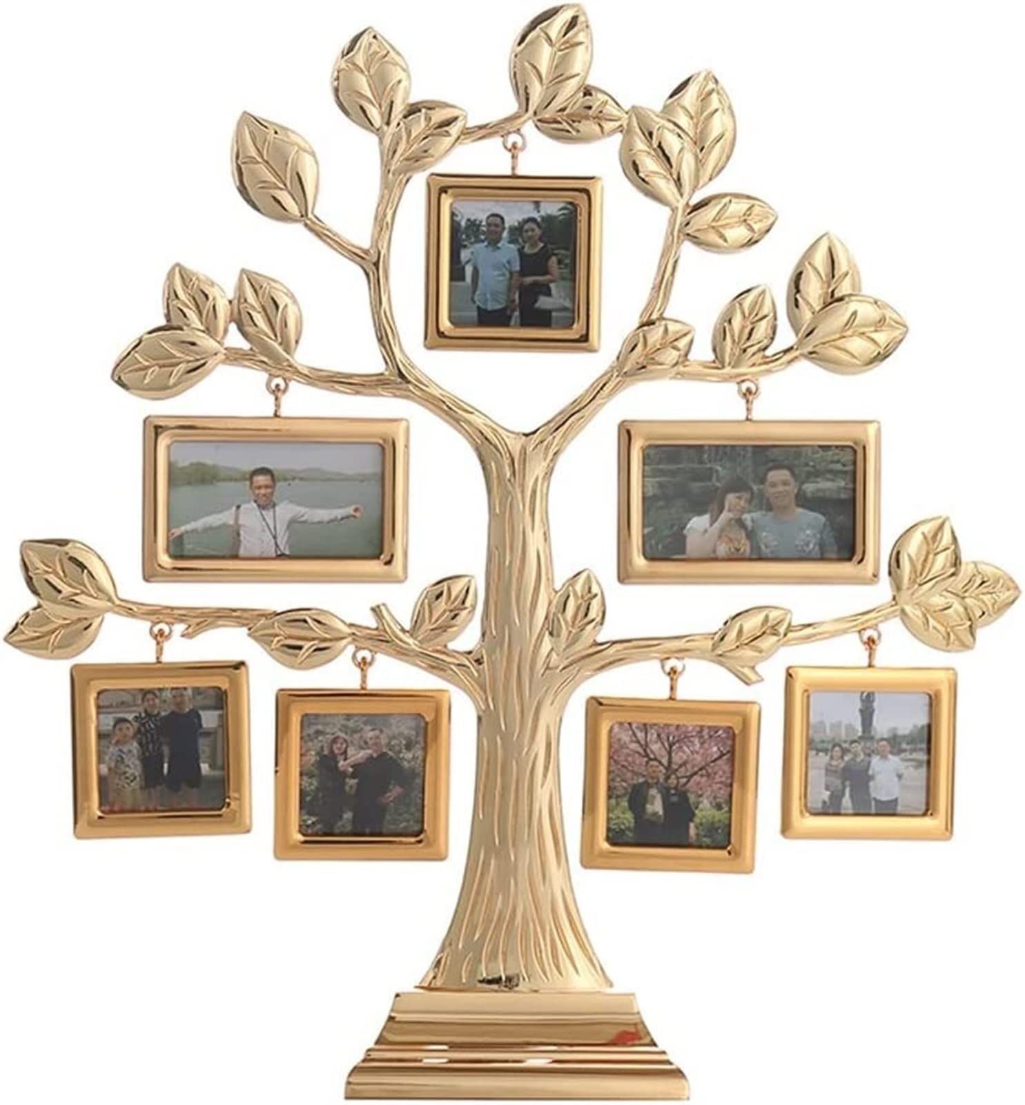 家族の集合写真 金色フレーム Amazon.com - TATSEN Family Tree Photo Frame with 7 Hanging Photo