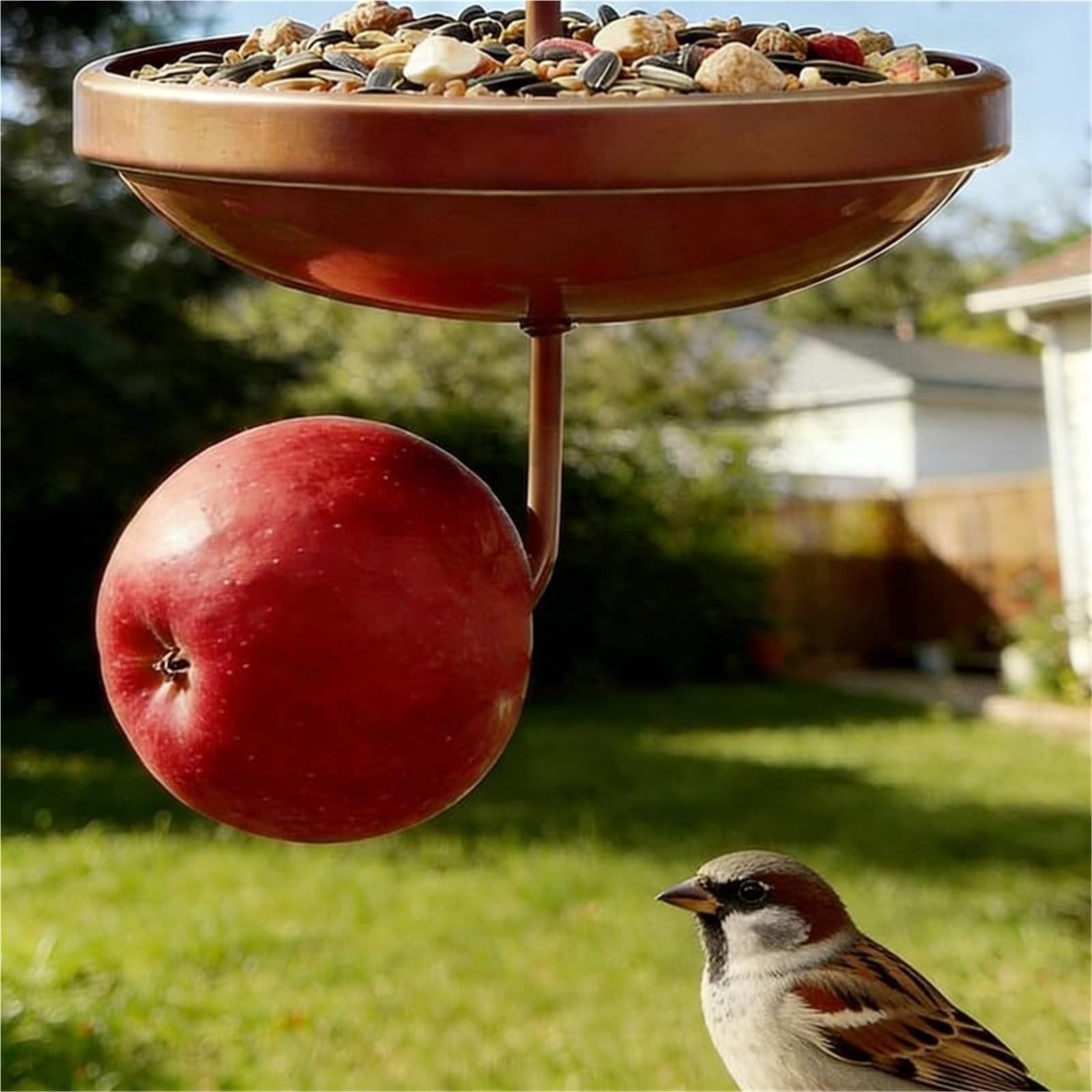 Comedero Colgante de Metal for pájaros diseñado Exclusivamente for pájaros Silvestres pequeños, comedero de Semillas al Aire Libre con Gancho Colgante for jardín